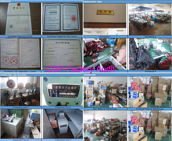 Factory Audit